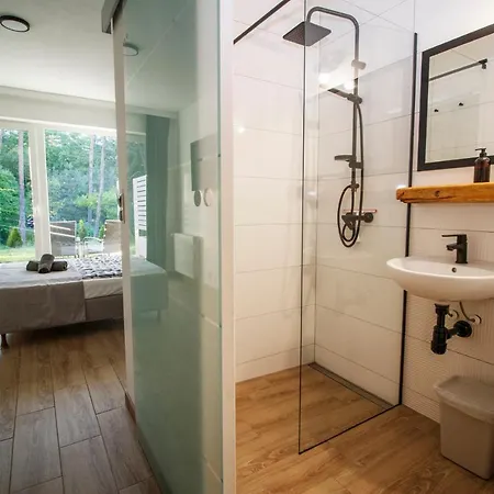 Forrest 4* Янтар